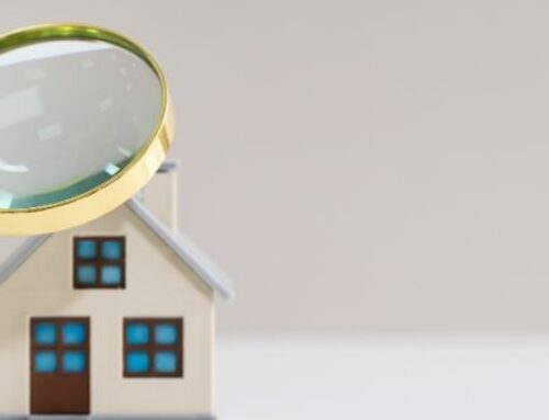 Stock Condition Survey Winter 2025